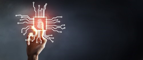 software pentest