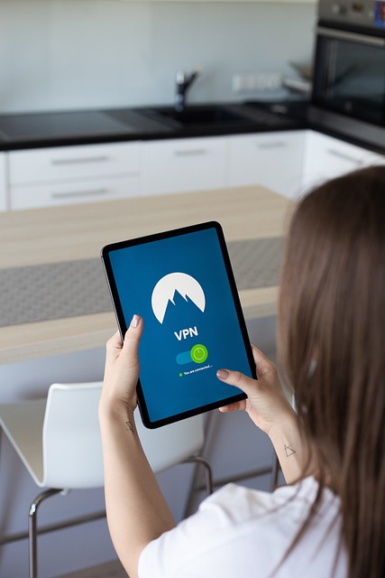 vpn logo