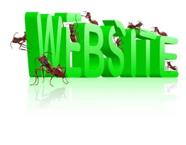 Website