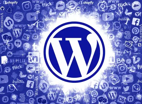 professionele website bouwer