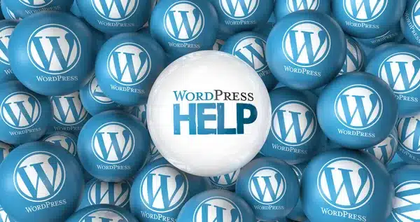 Website Bouwen met WordPress Leystad